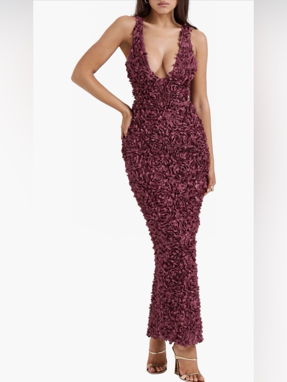 NWT House of CB Carena Flower Appliqué Gown